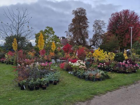 Beervelde herfst 2025
